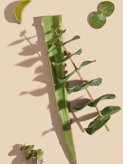 Amazing Scalp Saviour natural scalp treatment ingredients with eucalyptus and aloe vera